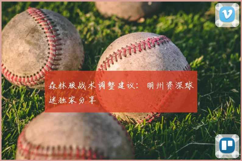 森林狼战术调整建议：明州资深球迷独家分享