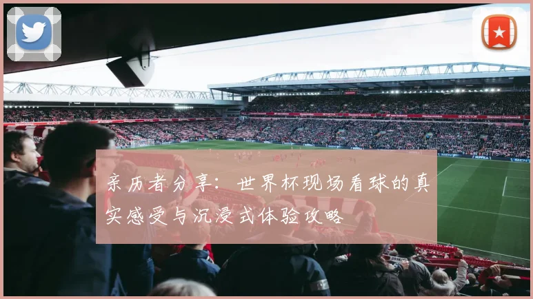 亲历者分享:世界杯现场看球的真实感受与沉浸式体验攻略