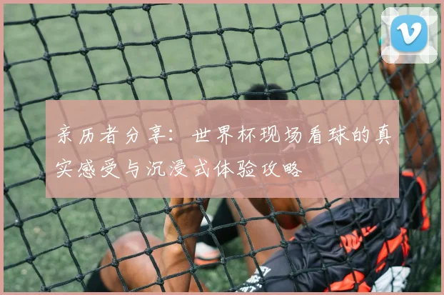 亲历者分享:世界杯现场看球的真实感受与沉浸式体验攻略