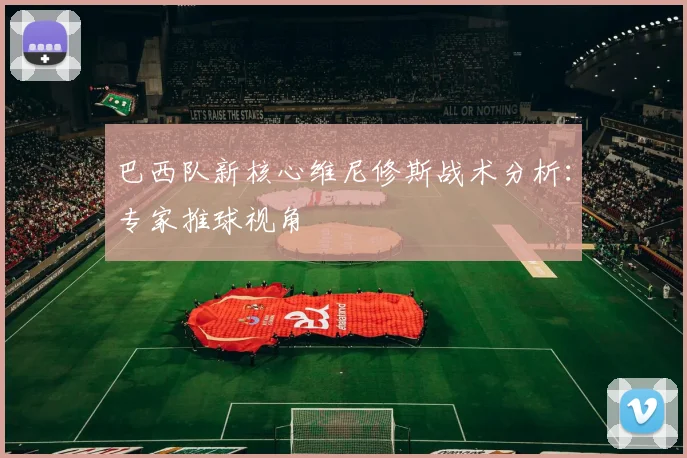 巴西队新核心维尼修斯战术分析：专家推球视角