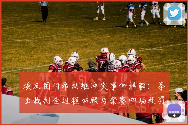 埃及国门希纳维冲突事件详解:拳击裁判全过程回顾与禁赛四场处罚分析