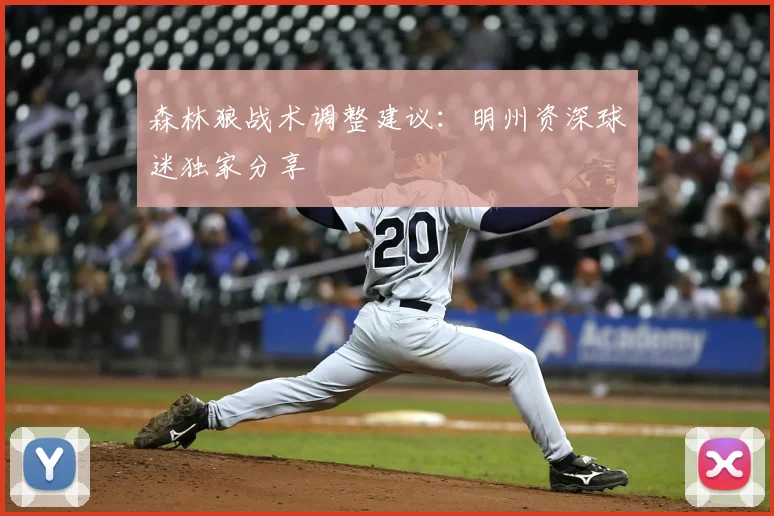 森林狼战术调整建议：明州资深球迷独家分享
